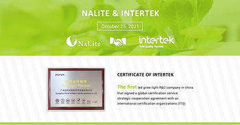 Intertek-Nalite Strategy Partner